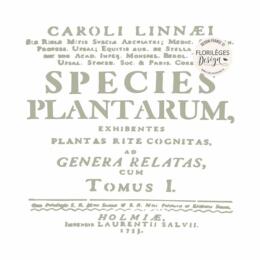 Pochoir FLORILEGES DESIGN  -  BOTANICAL - Herbarium