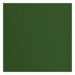 Papier Uni Florence - Vert PINE 30x30 ( x5 feuilles )