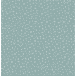 HA.PI LITTLE FOX - ETOILE DES NEIGES Simili Cuir ( 1 feuille 30x30 )