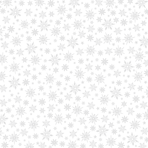 HA.PI LITTLE FOX - Acétate Transparent - ETOILE DES NEIGES