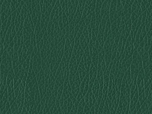 50x69 - Papier Skivertex IMITATION CUIR VERT + CLAIR