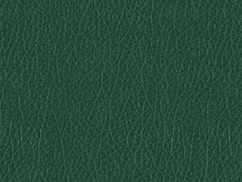 50x69 - Papier Skivertex IMITATION CUIR VERT + CLAIR