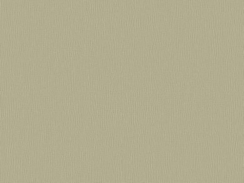 50x67 - Papier Skivertex FIBRE GRIS/VERT