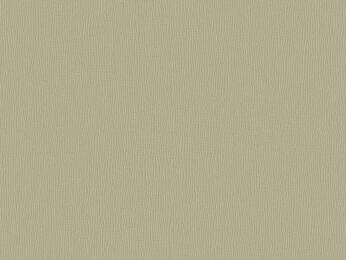 50x67 - Papier Skivertex FIBRE GRIS/VERT