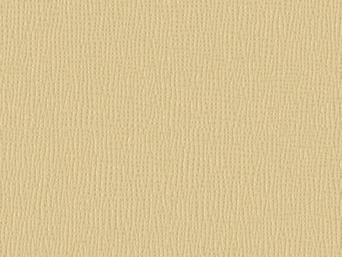 50x67 - Papier Skivertex FIBRE BEIGE