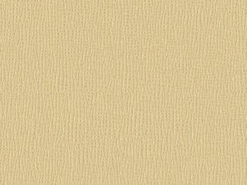 50x67 - Papier Skivertex FIBRE BEIGE