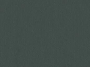 50x67 - Papier Skivertex NUBUCK VERT FONCE