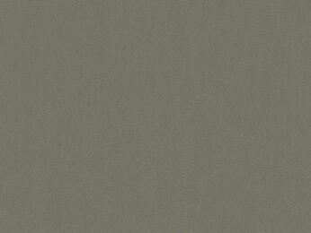 50x67 - Papier Skivertex NUBUCK VERT CLAIR LICHEN