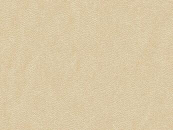 50x67 - Papier Skivertex NUBUCK CREME