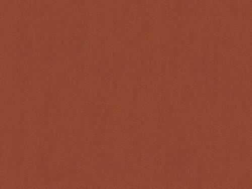 50x67 - Papier Skivertex NUBUCK ROUILLE