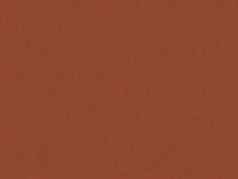 50x67 - Papier Skivertex NUBUCK ROUILLE