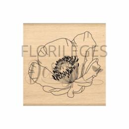 Tampon Bois - COQUELICOT FRAGILE - Collection FARANDOLE - Florilèges Design