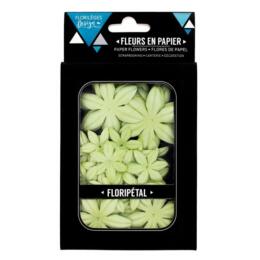 Fleurs en Papier - FLORIPETAL Aloe Vera