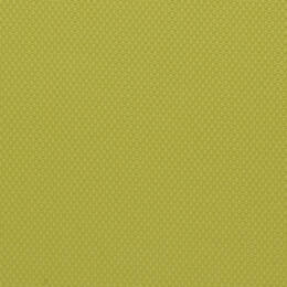 50x67 - Papier Skivertex VERT POMME (quantité très limitée)