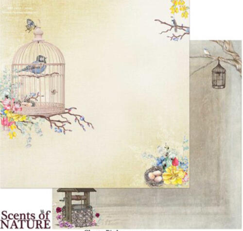 Papier 49 MARKET - Scents of Nature CHATTY BIRDS 85656