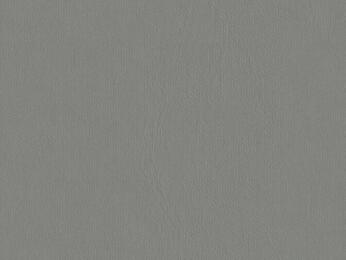 50x69 - Papier Skivertex LISSE GRIS