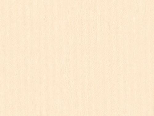 50x69 - Papier Skivertex LISSE ROSE "CHAIR"