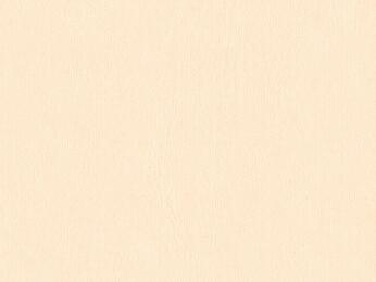 50x69 - Papier Skivertex LISSE ROSE "CHAIR"