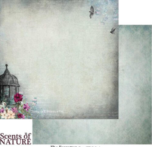 Papier 49 MARKET - Scents of Nature THE FORGOTTEN 85601