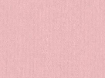 50x69 - Papier Skivertex LISSE ROSE BEBE