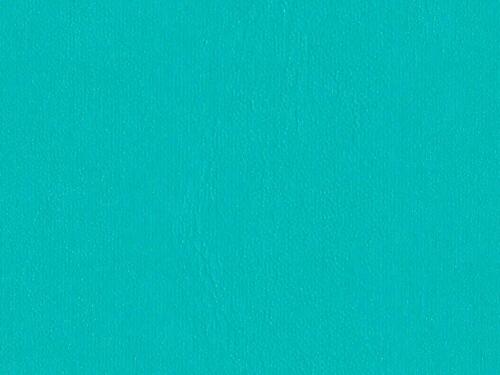 50x69 - Papier Skivertex LISSE TURQUOISE VERT CLAIR