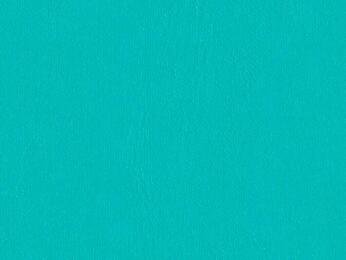 50x69 - Papier Skivertex LISSE TURQUOISE VERT CLAIR