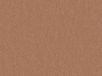 50x69 - Papier Skivertex METALLIQUE GRIFFE CUIVRE