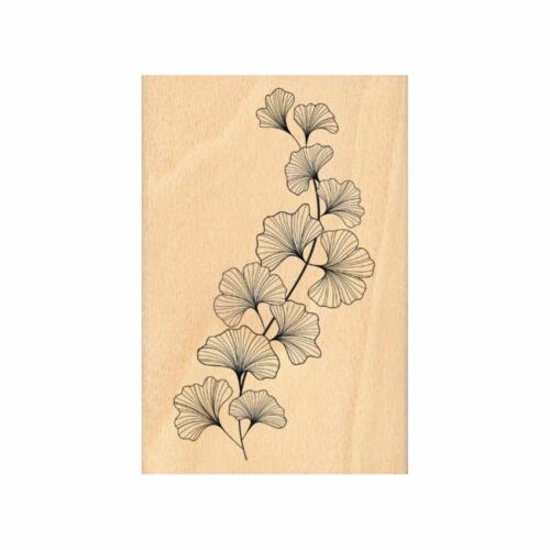 Tampon Bois - GINKGO SOUPLE - Collection GINKGO - Florilèges Design