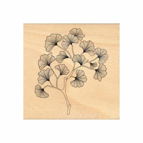 Tampon Bois - BRANCHES GINKGO - Collection GINKGO - Florilèges Design