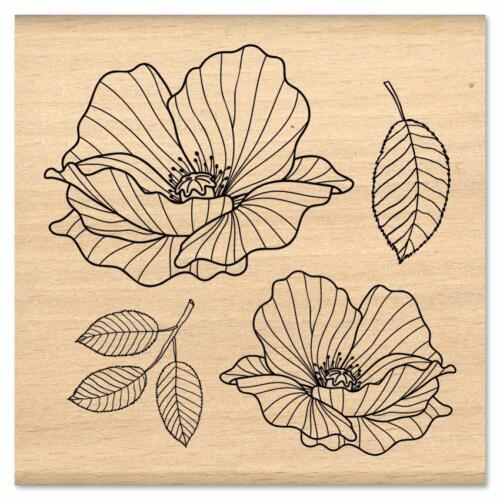 Tampon Bois - COQUELICOTS - Collection MURMURES -  Florilèges Design