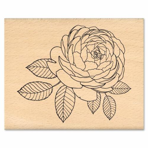 Tampon Bois - ROSE ANCIENNE - Collection MURMURES -  Florilèges Design