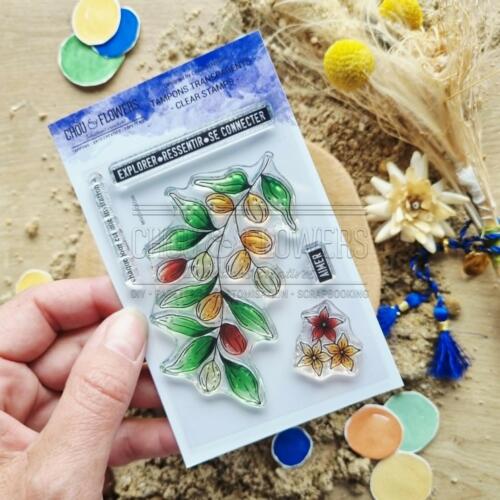 Tampon CLEAR - L'ARGANIER - Collection LE CHANT DES DUNES  - Chou Flowers