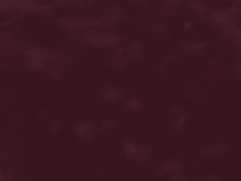 50x69 - Papier Skivertex VELOURS BORDEAUX