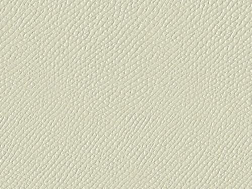 50x69 - Papier Skivertex CRIS MAT CRAIE ( Blanc Cassé )