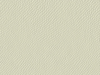 50x69 - Papier Skivertex CRIS MAT CRAIE ( Blanc Cassé )