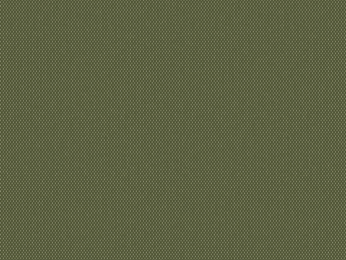 50x69 - Papier Skivertex IRIDESCENT VERT OLIVE