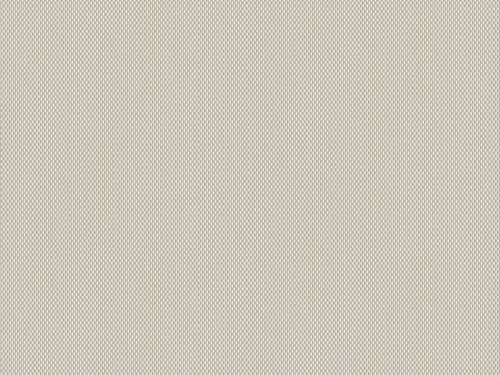 50x69 - Papier Skivertex IRIDESCENT BLANC IVOIRE