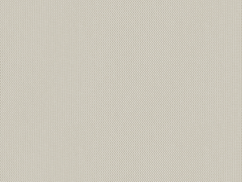 50x69 - Papier Skivertex IRIDESCENT BLANC IVOIRE