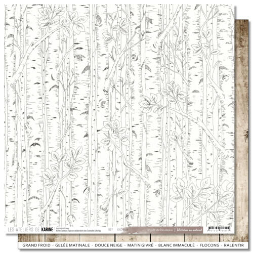 Les Ateliers de Karine - HISTOIRES AU NATUREL - Papier n°6 FORET DE BOULEAUX