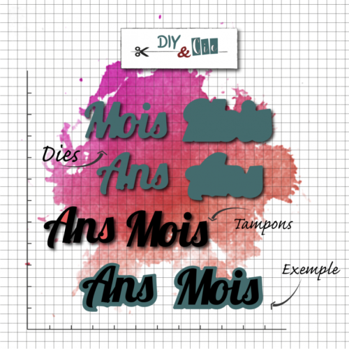 Dies Découpe DIY & CIE - Matrice de découpe et Tampons MOIS ANS