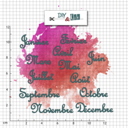 Dies Découpe DIY & CIE - Matrice de découpe MOIS DE L'ANNEE V2