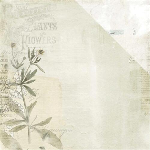 Papier 49 MARKET - Vintage Artistry - SEEDS OF LOVE 98451