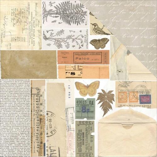 Papier 49 MARKET - Vintage Artistry - EPHEMERA 98457