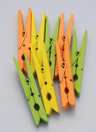 Pinces à Linge 7.2cm - COULEUR Printemps (x10)