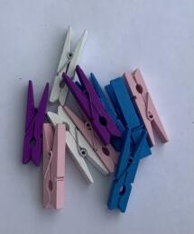 Pinces à Linge en bois 4.5cm - COULEUR Vive (x10)