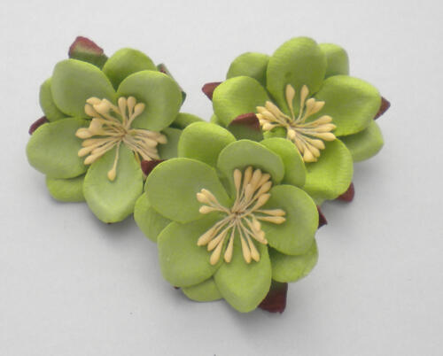 Fleurs en Papier - FLEURS DE CERISIER du Japon Vert (x3)