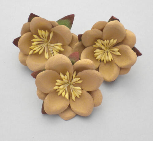 Fleurs en Papier - FLEURS DE CERISIER du Japon Beige (x3)