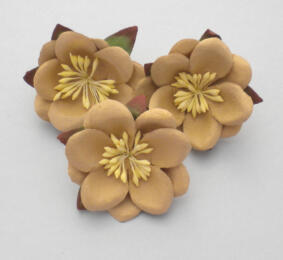 Fleurs en Papier - FLEURS DE CERISIER du Japon Beige (x3)