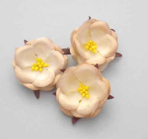 Fleurs en Papier - PEONIES Beige 2 Tons (x3)