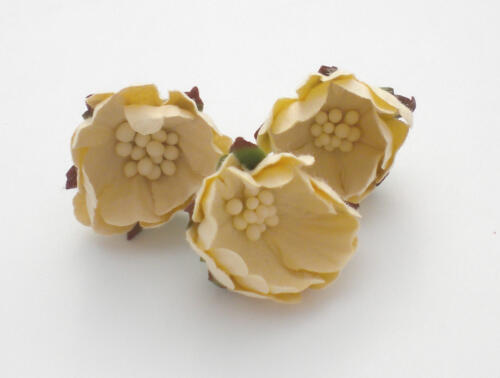 Fleurs en Papier - BOUTON de ROSE Crème (x3)